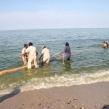 110   The masts are floated in the sea