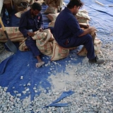 045   Filling sacks with gravel for ballast