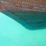 007   At the bow the stitching is clearly visible underwater
