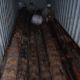 027   The mast timbers have arrived by container from India