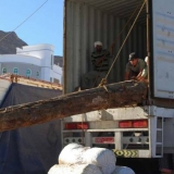 032   Padded sacks break the fall as each log is unloaded