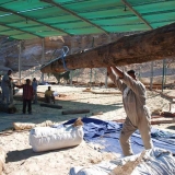 034   And each log is around 11m long.