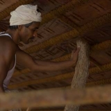 031   Abdul Salam Kadavath Purayil (Indian Ropeworker)