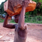 06   Moving the logs by hand