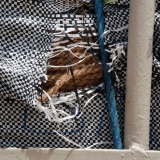 004   Coarse rope used for stitching