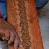 019   Putty being applied to the wood to make it water-tight