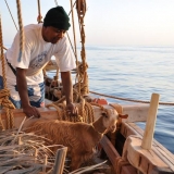 037   1st Mate Khamis Al Hamdani and the ship's goat