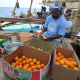 101   Adam Al Baluchi washes fruit