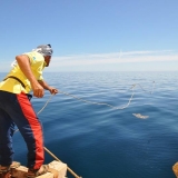 058   Said Al Tarshi snags a bundle of coconut cordage which went overboard