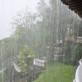 085   A tropical downpour