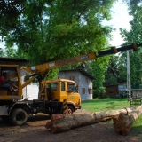 098   Unloading the logs at the saw mill.