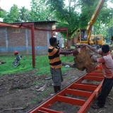 099   Loading one tree onto the milling machine.