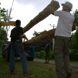 107   It's a long drive to Galle but soon the masts will be fitted