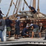 075   The Jewel of Muscat ties up