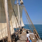 023   Wind in the sails at last