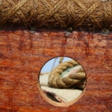038   Detail of the Jewel: Submitted by Ute